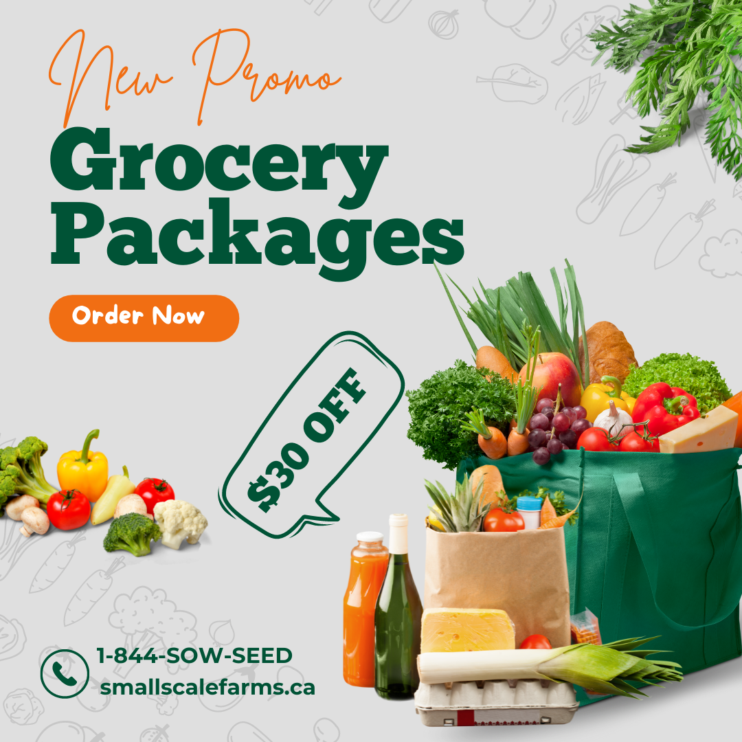 Grocery Package A