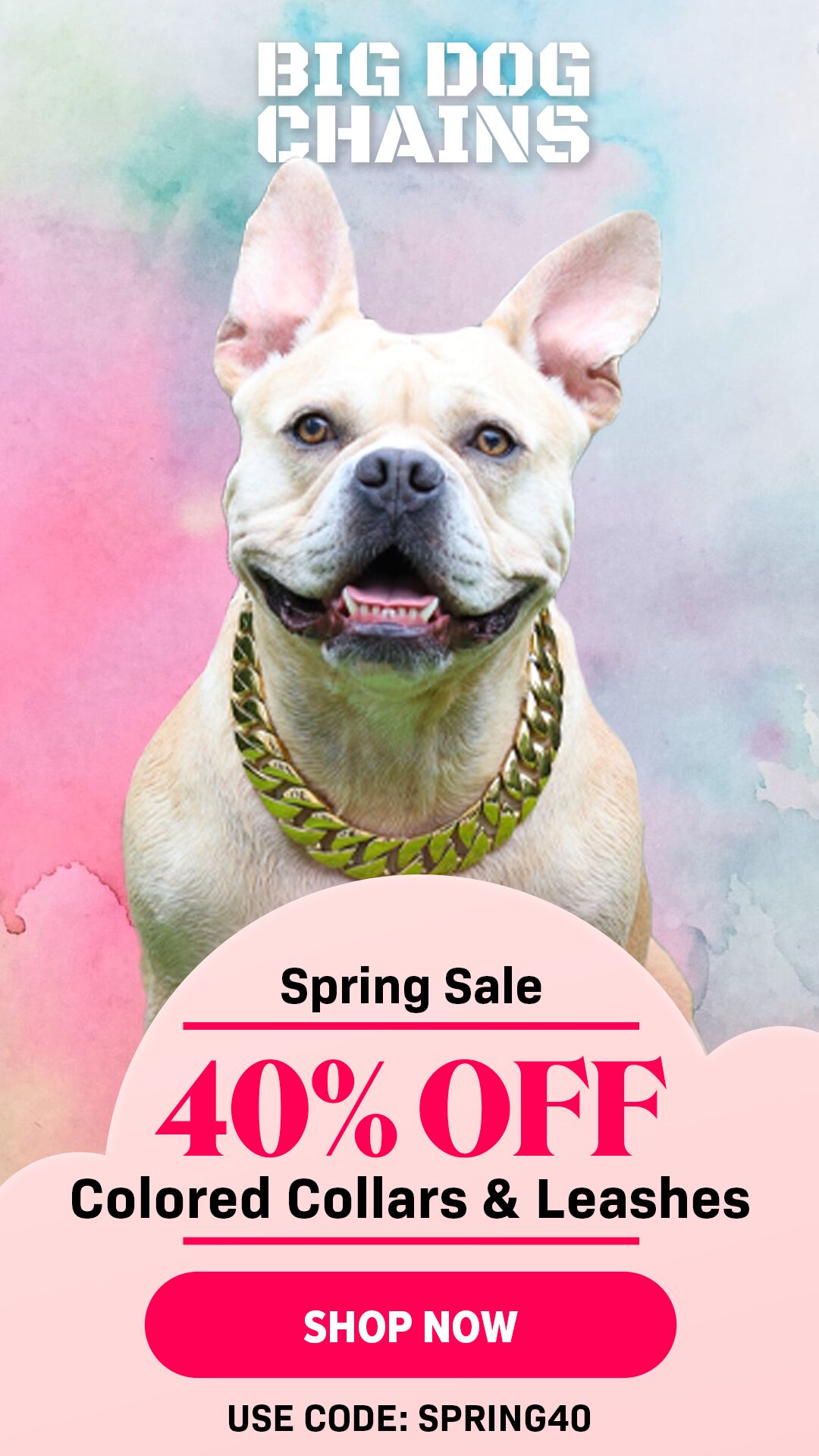 Dogs deals chains sale